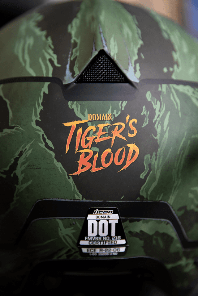 ICON 0101-14923 Domain™ Helmet - Tiger's Blood - Green - XS — image 9 of 13