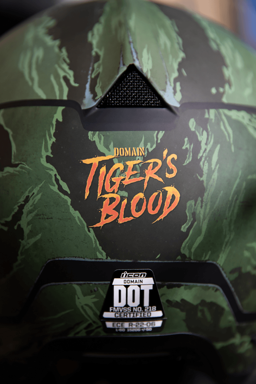 ICON 0101-14926 Domain™ Helmet - Tiger's Blood - Green - Large — image 9 of 13