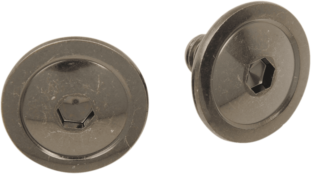 Z1R 0133-1110 F.I. Visor Screws - Kit