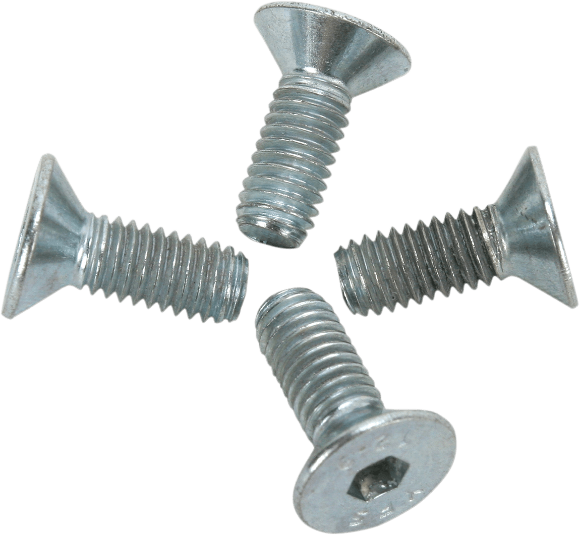 EXCEL 0212-0079 Brake Carrier Bolt - Carrier Ring - Set