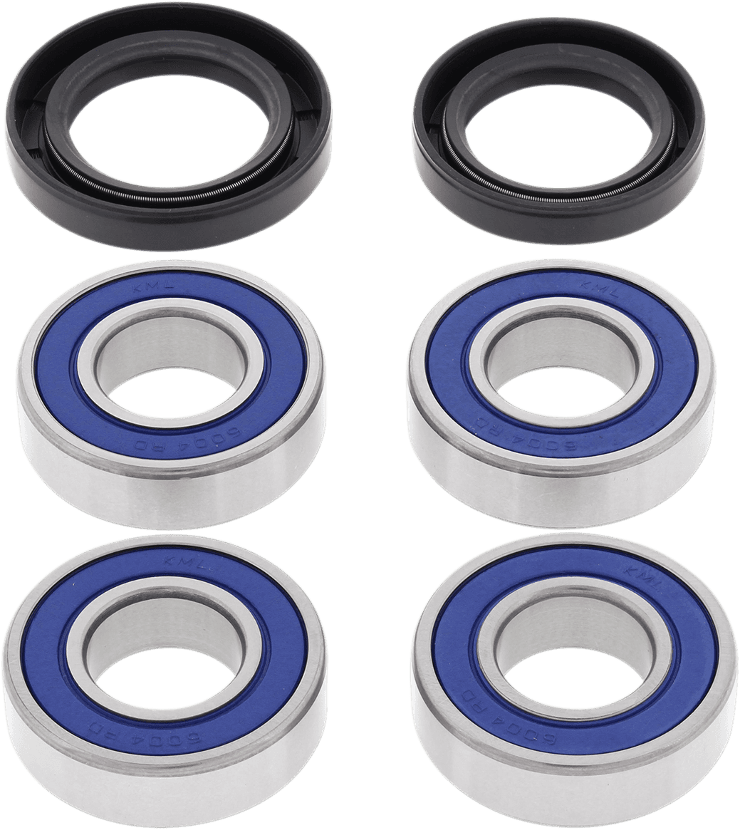 ALL BALLS 0215-0058 Wheel Bearing Kit - Front - '01-'17 GL1800