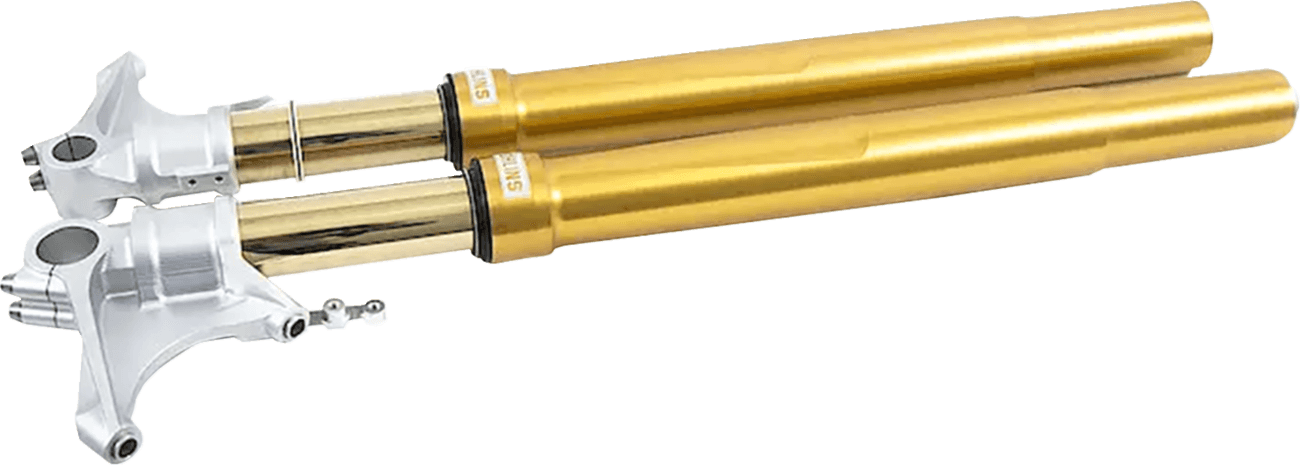 OHLINS 04020012 Fork Cartridge Kit - 48 mm - Inverted - Gold (FGRT308)