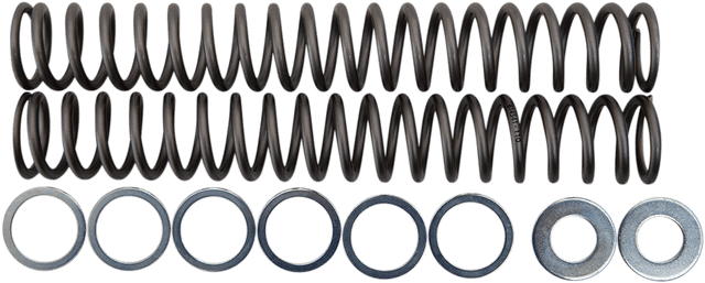 RACE TECH 0405-0495 Fork Springs - 1.10 kg/mm