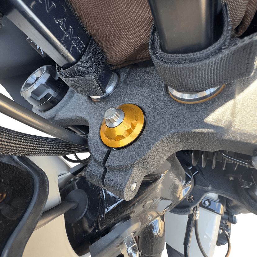 PAUL YAFFE BAGGER NATION 04100487 Steering Stem Nut - Gold — image 3 of 3