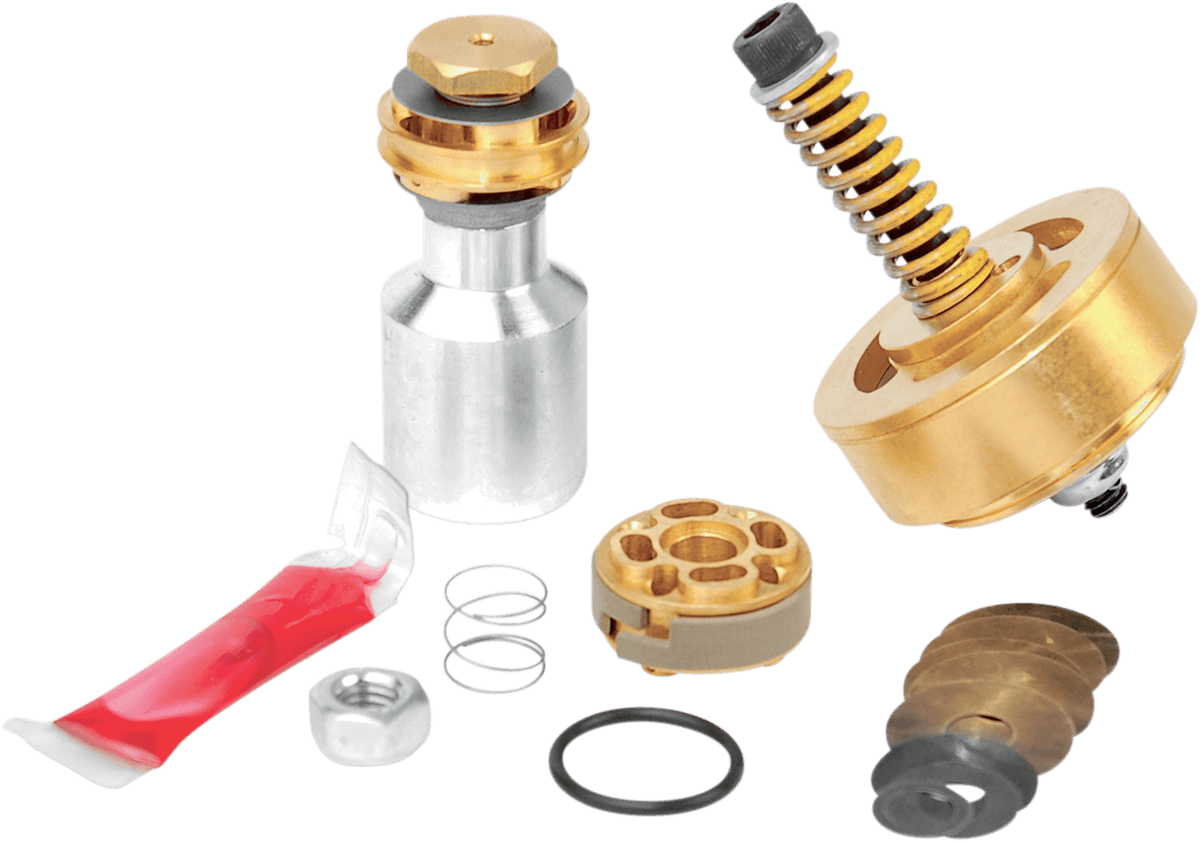 RACE TECH 0450-0187 Fork Kit - 20 mm - Gold Valve - Standard