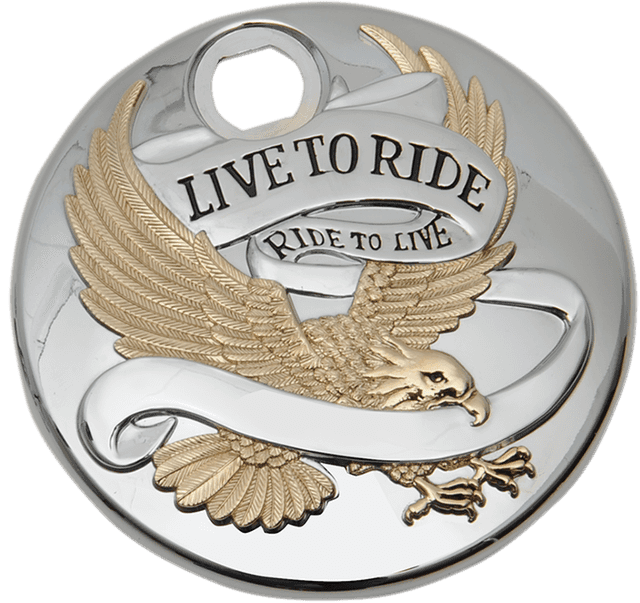 DRAG SPECIALTIES 0703-0742 "Live to Ride" Console Door - Chrome with Gold — image 1 of 2