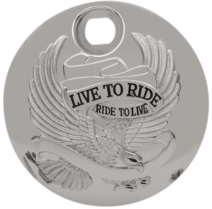 DRAG SPECIALTIES 0703-0803 "Live to Ride" Console Door - Chrome