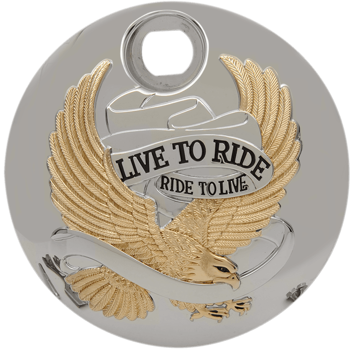 DRAG SPECIALTIES 0703-0804 "Live to Ride" Console Door - Chrome with Gold