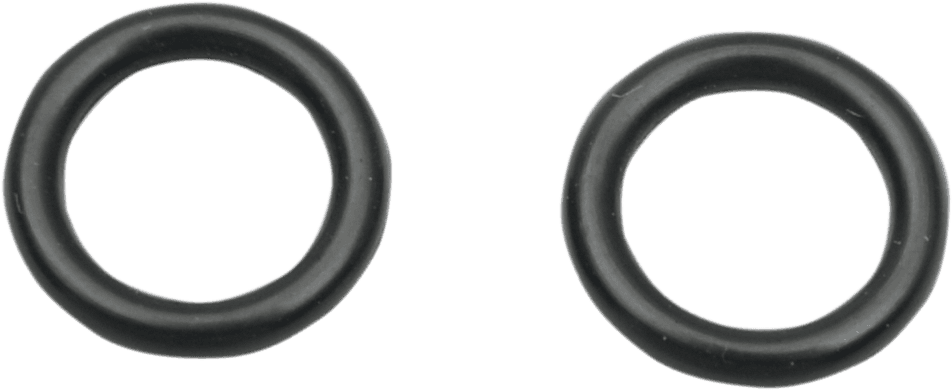 GOODRIDGE 0706-0202 Replacement Viton O-Rings - 5/16" - 2-Pack