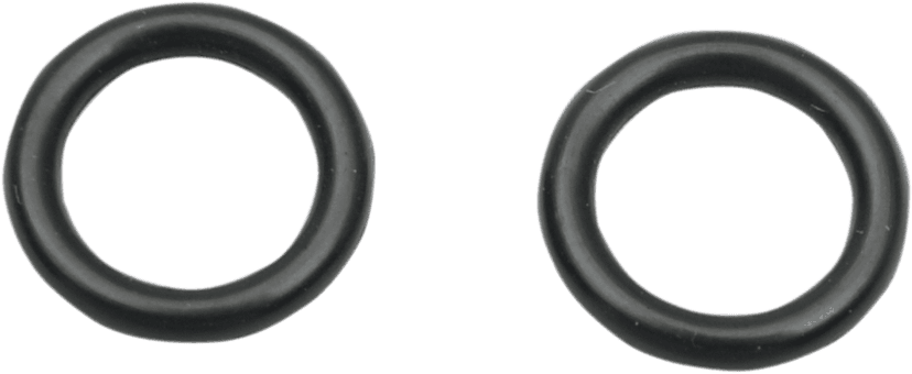 GOODRIDGE 0706-0202 Replacement Viton O-Rings - 5/16" - 2-Pack