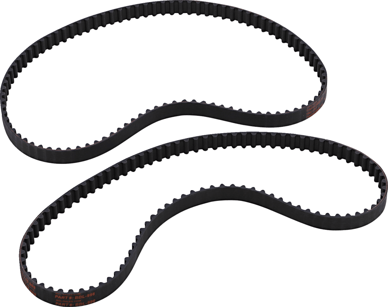 BELT DRIVES LTD. 0925-1118 Timing Belt - 95 Tooth - 17.00 mm Width - Ducati