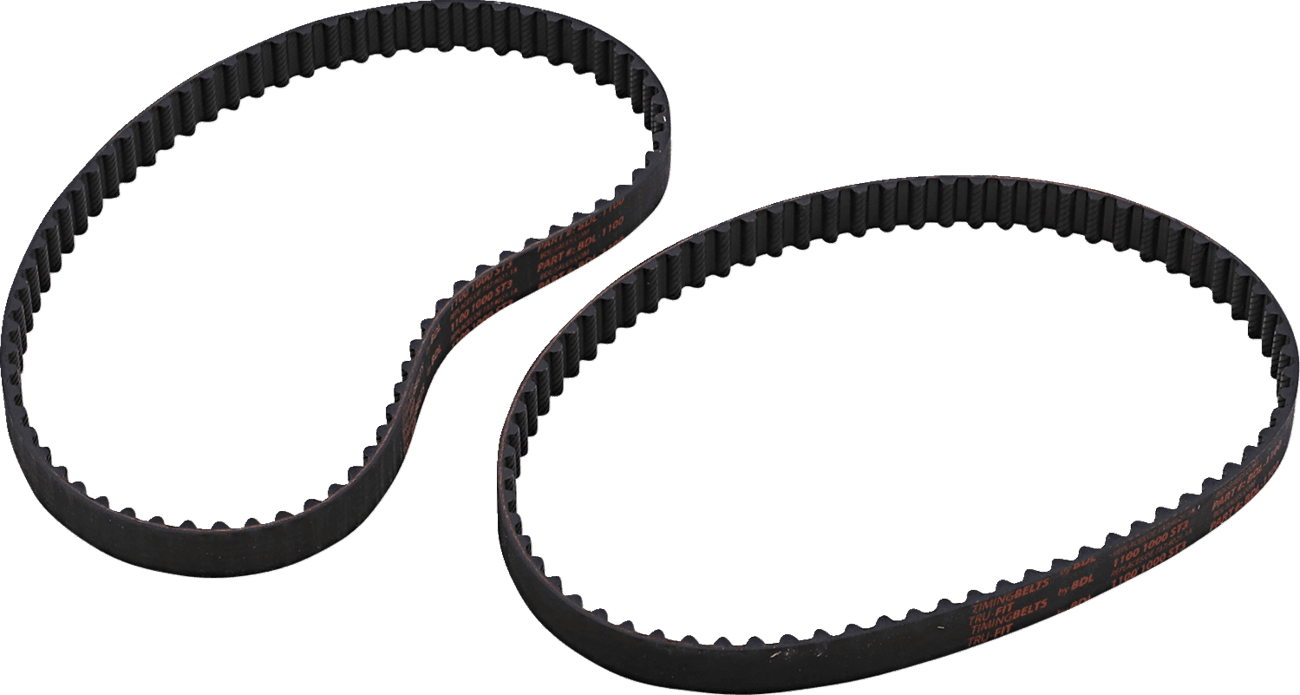 BELT DRIVES LTD. 0925-1119 Timing Belt - 72 Tooth - 19.00 mm Width - Bimota | Ducati