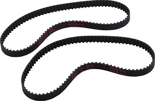 BELT DRIVES LTD. 0925-1122 Timing Belt - 94 Tooth - 21.00 mm Width - Ducati