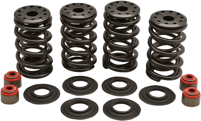 KIBBLEWHITE 0926-0184 Valve Spring Kit - 0.600" Lift - 88"/96"/103" Twin Cam | Buell | XL | XR