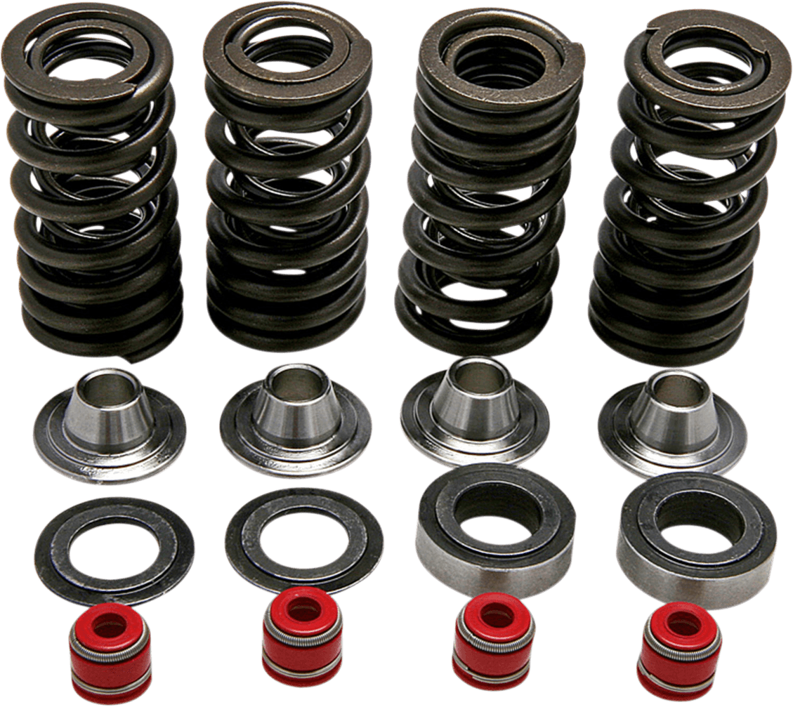 KIBBLEWHITE 0926-0210 Valve Spring Kit - 0.350" Lift - Lightweight Racing - Honda