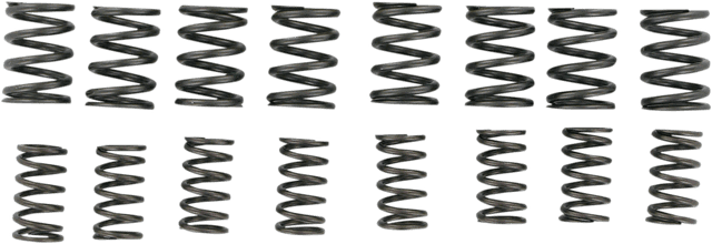 KIBBLEWHITE 0926-0332 Valve Springs - 0.425" Lift - High Performance - Kawasaki