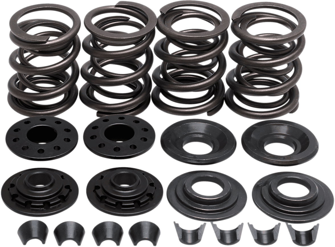 KIBBLEWHITE 0926-0799 Valve Spring Kit - 0.480" Lift - XL '57-'83
