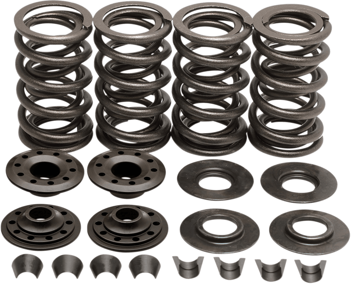 KIBBLEWHITE 0926-0802 Valve Spring Kit - 0.600" Lift - Buell | Twin Cam | XL