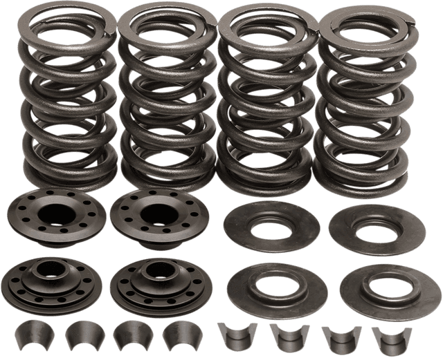 KIBBLEWHITE 0926-0802 Valve Spring Kit - 0.600" Lift - Buell | Twin Cam | XL