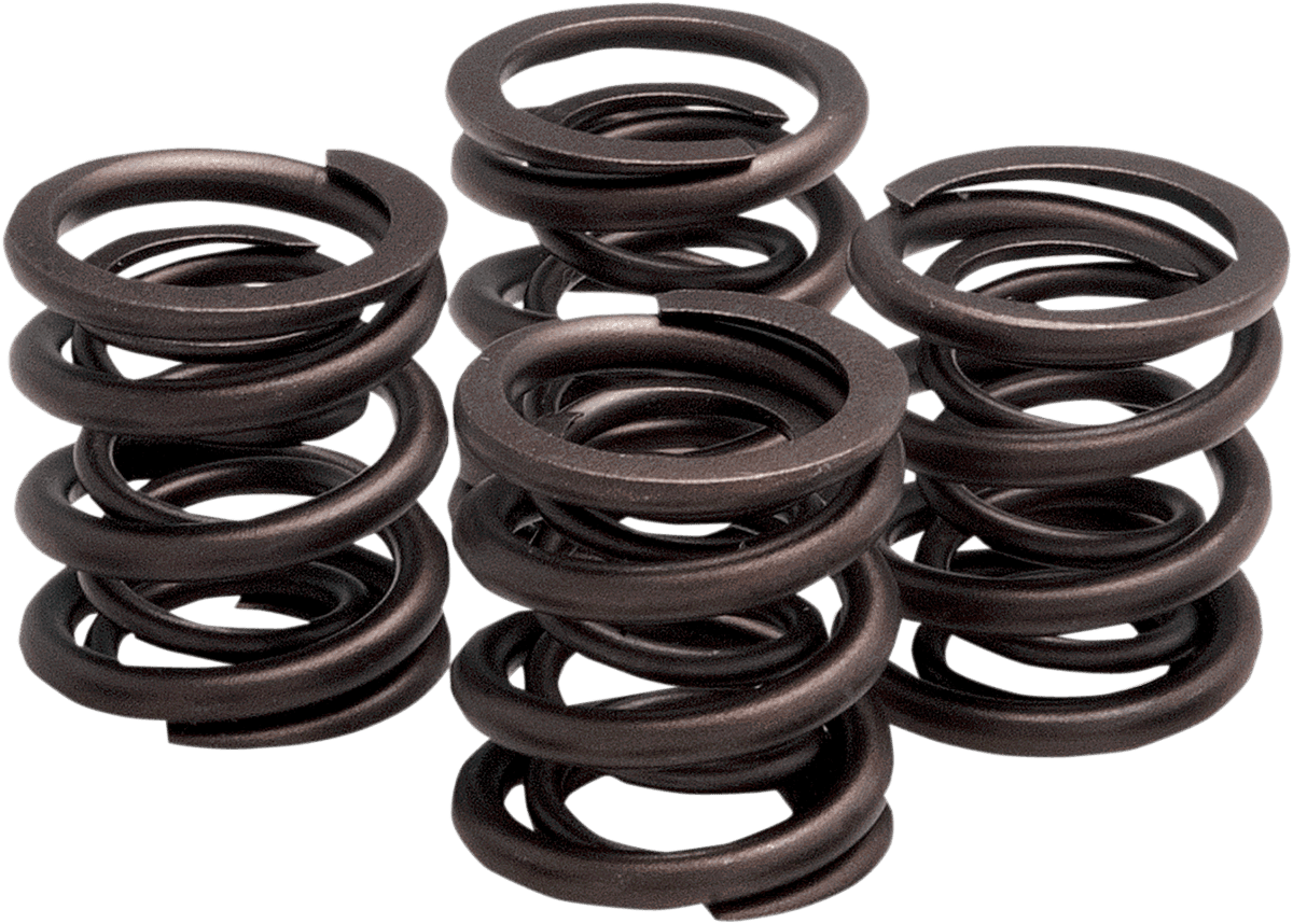 KIBBLEWHITE 0926-0807 Valve Spring Kit - OEM Replacement - XL