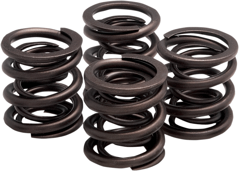 KIBBLEWHITE 0926-0807 Valve Spring Kit - OEM Replacement - XL