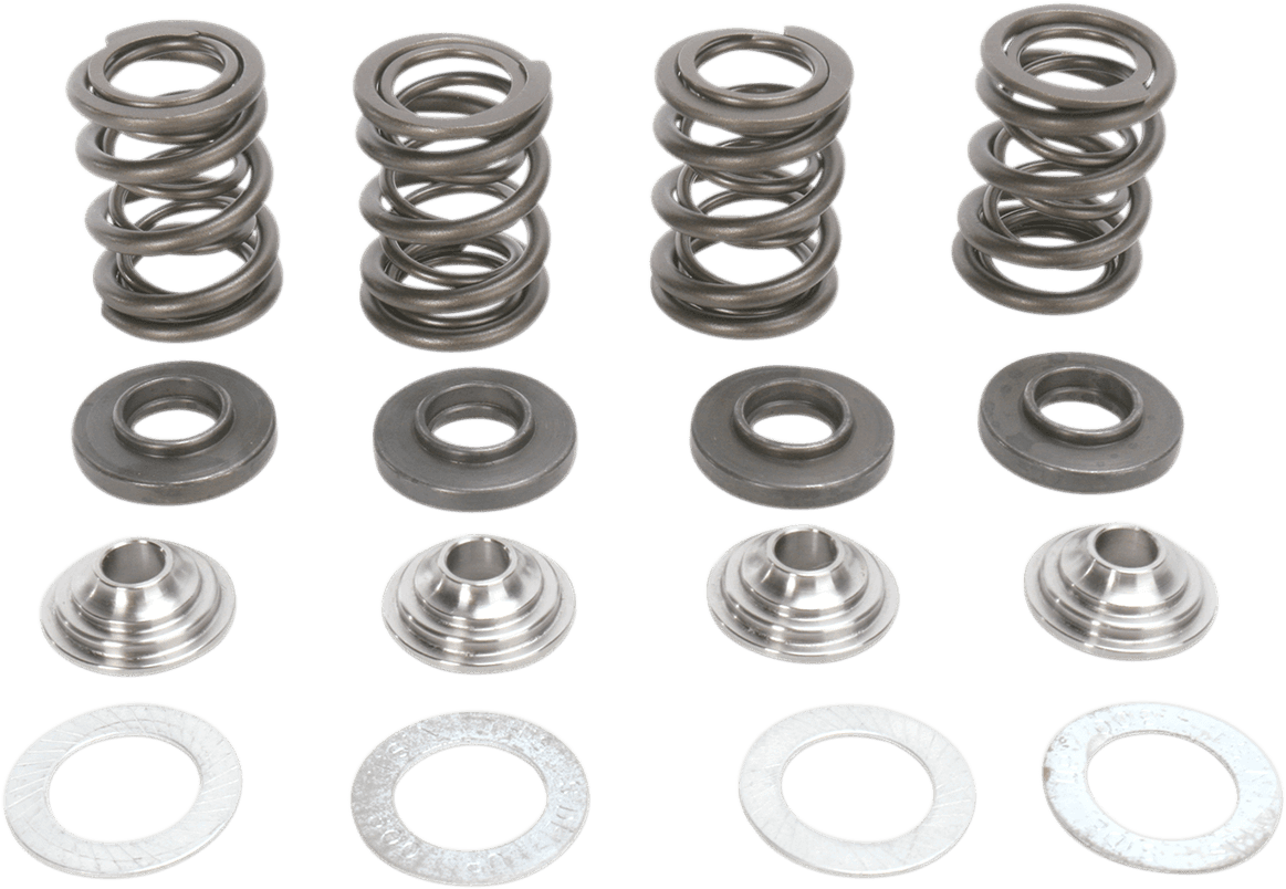 KIBBLEWHITE 0926-1696 Valve Spring Kit - 0.435" Lift - Lightweight High-Lift Racing - KTM