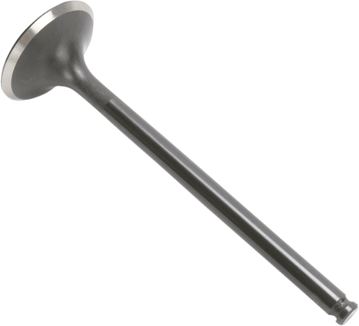 KIBBLEWHITE 0926-1699 Valve - Exhaust - 30.00 mm - Standard - RFS Engine KTM