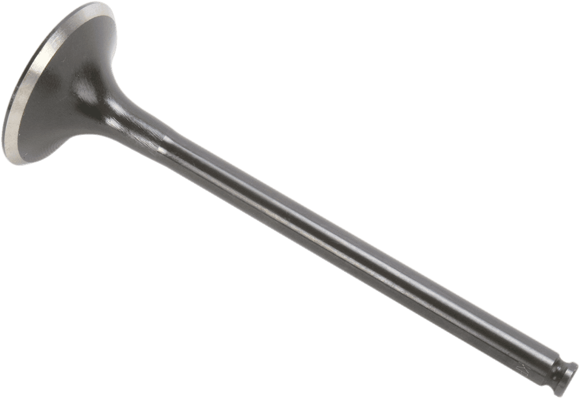 KIBBLEWHITE 0926-1700 Valve - Exhaust - 31.00 mm - Oversize - RFS Engine KTM