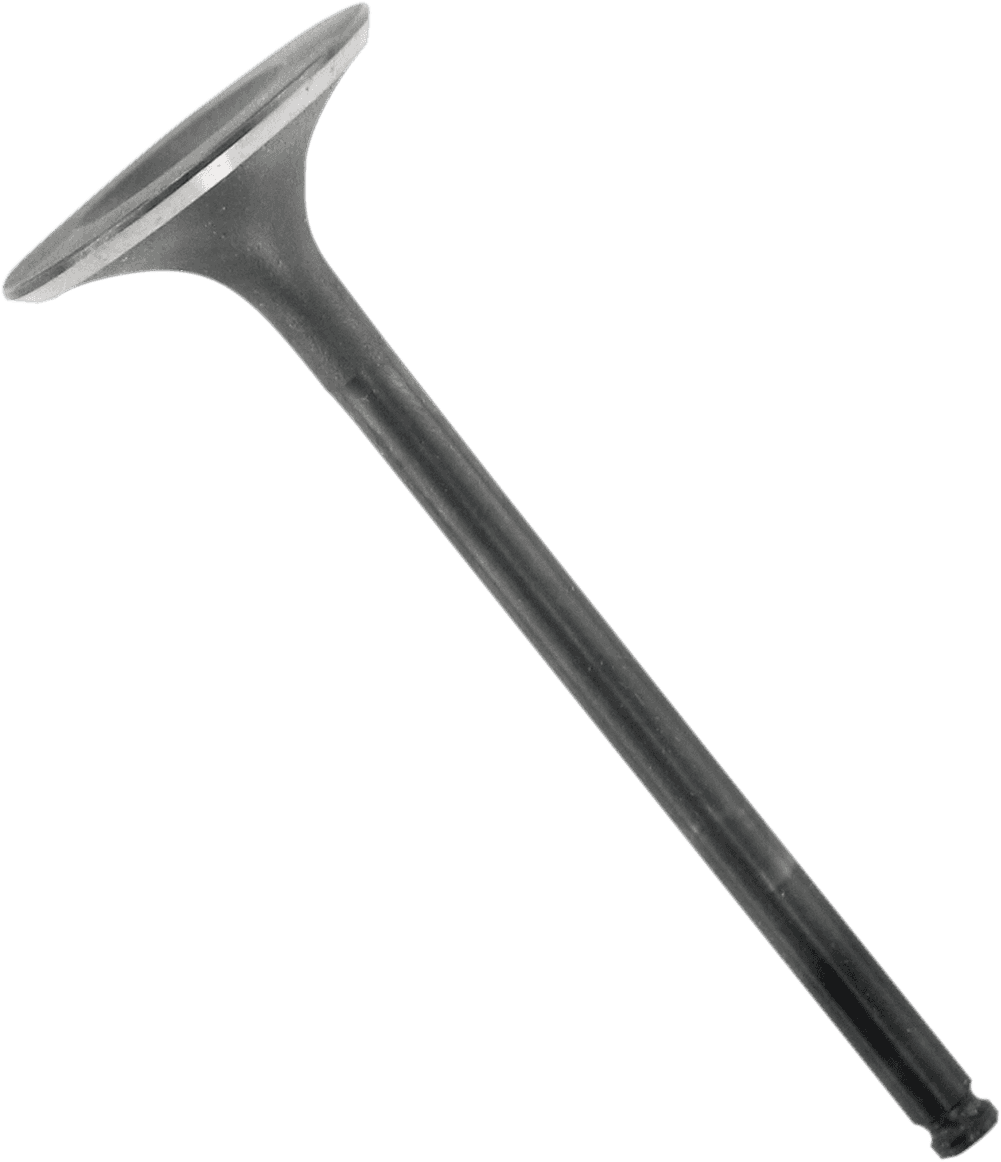 WISECO 0926-1749 Intake Valve - KTM | Polaris