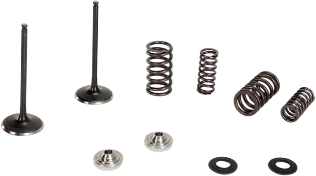 KIBBLEWHITE 0926-2663 Valve and Spring Kit - 0.445" Lift - Suzuki RMZ250 '07-'17