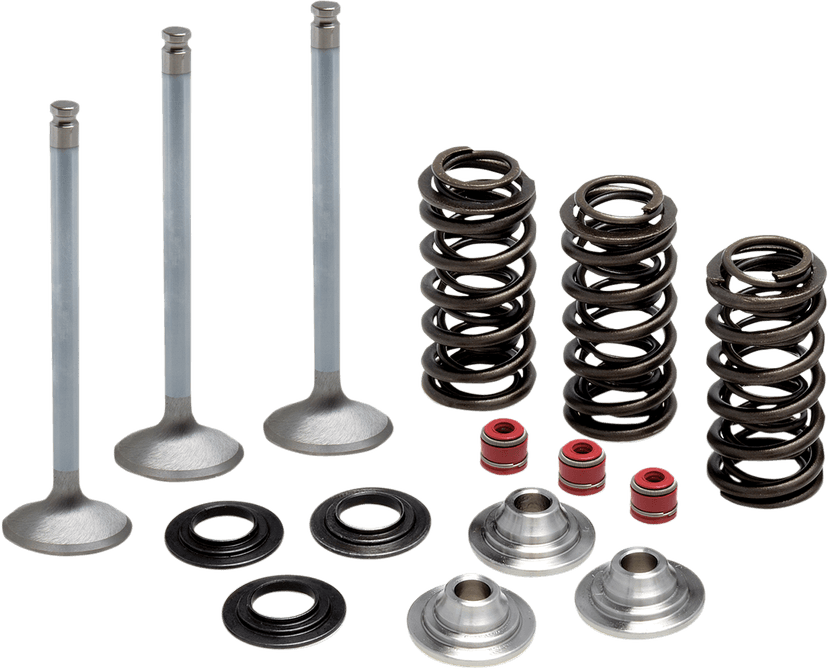 KIBBLEWHITE 0926-2739 Valve and Spring Kit - 0.380" Lift - Yamaha YFZ450/R/X | WR450F | YZ450F '03-'09