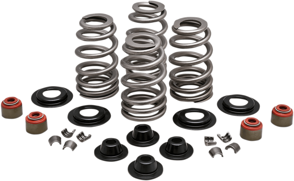 KIBBLEWHITE 0926-3000 Beehive Spring Kit - 0.610" Lift - Twin Cam | XL | XR1200