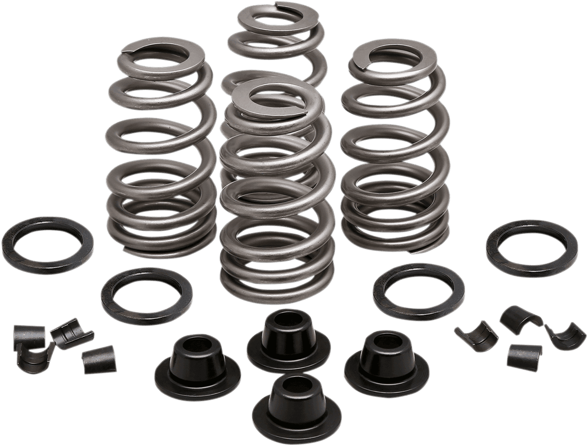 KIBBLEWHITE 0926-3001 Beehive Spring Kit - 0.660" Lift - Buell | Twin Cam | XL