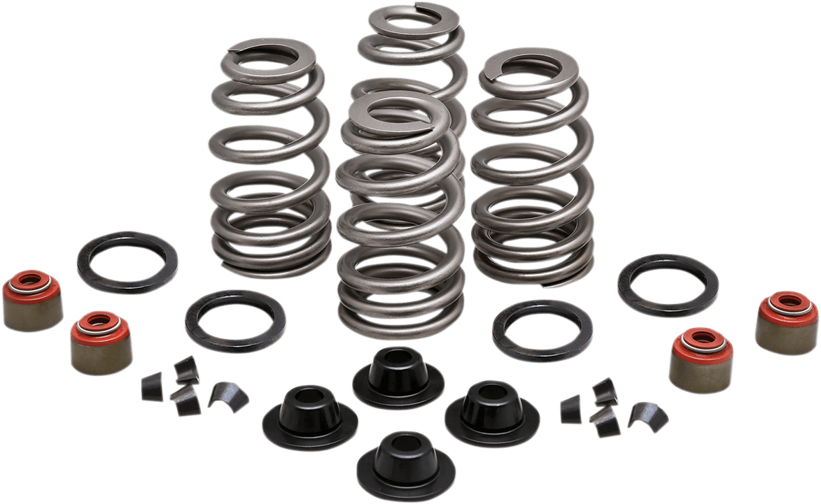 KIBBLEWHITE 0926-3002 Beehive Spring Kit - 0.660" Lift - Twin Cam | XL | XR1200