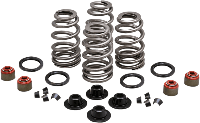 KIBBLEWHITE 0926-3002 Beehive Spring Kit - 0.660" Lift - Twin Cam | XL | XR1200