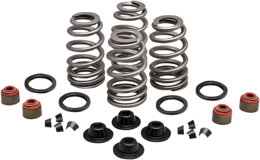 KIBBLEWHITE 0926-3002 Beehive Spring Kit - 0.660" Lift - Twin Cam | XL | XR1200
