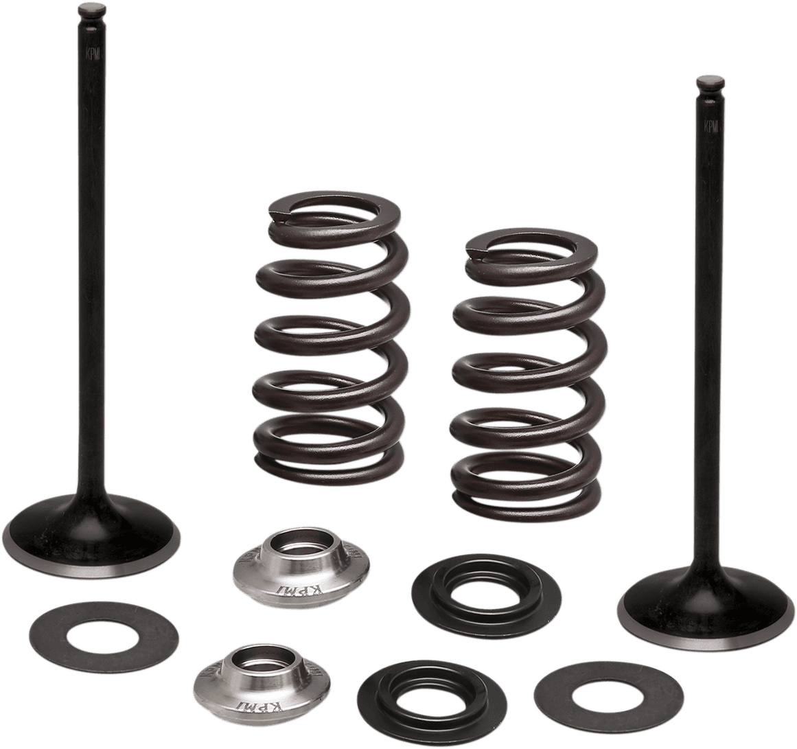 KIBBLEWHITE 0926-3093 Valve and Spring Kit - 0.435" Lift - KTM 450XCF | 450SXF '13-'18