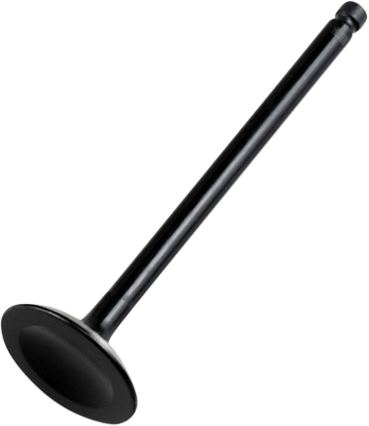 HOT CAMS 0926-3108 Intake Valve - Steel - Polaris