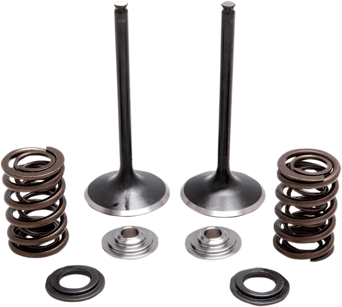 KIBBLEWHITE 0926-3169 Valve and Spring Kit - 0.440" lift - Honda TRX450R '04-'05