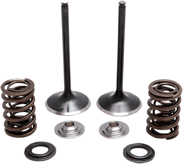 KIBBLEWHITE 0926-3169 Valve and Spring Kit - 0.440" lift - Honda TRX450R '04-'05