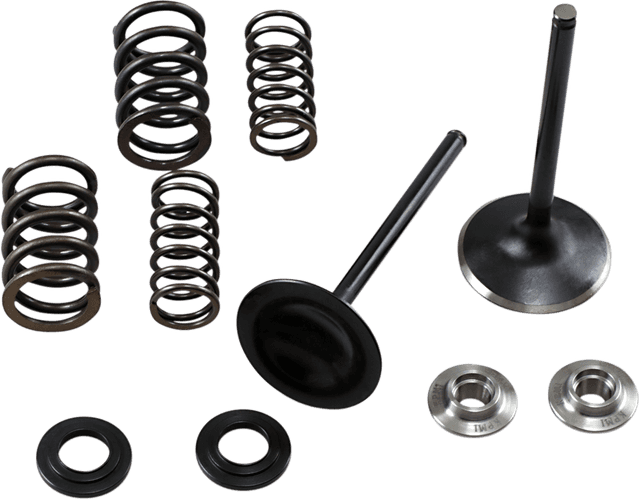 KIBBLEWHITE 0926-3170 Valve and Spring Kit - 0.440" Lift - Honda TRX450R | TRX450ER '06-'14