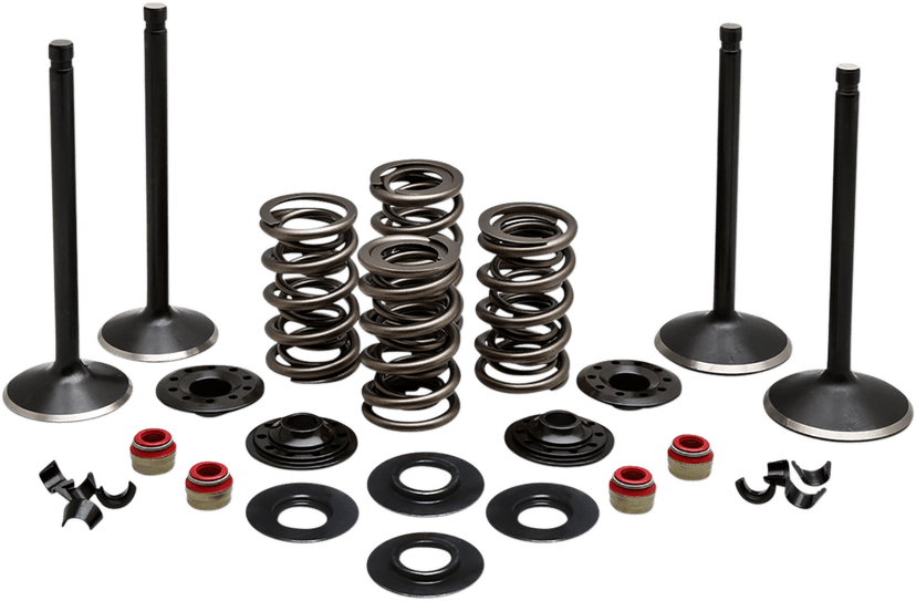 KIBBLEWHITE 0926-3218 Engine Valve Kit - 0.600" Lift - 88" Twin Cam '99-'04