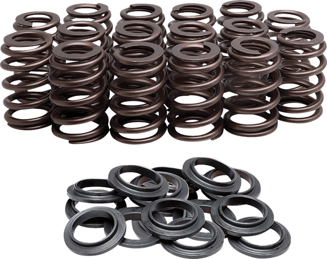 KIBBLEWHITE 0926-3251 Beehive Springs Kit - 0.425" Lift - Suzuki GSX-R 1000