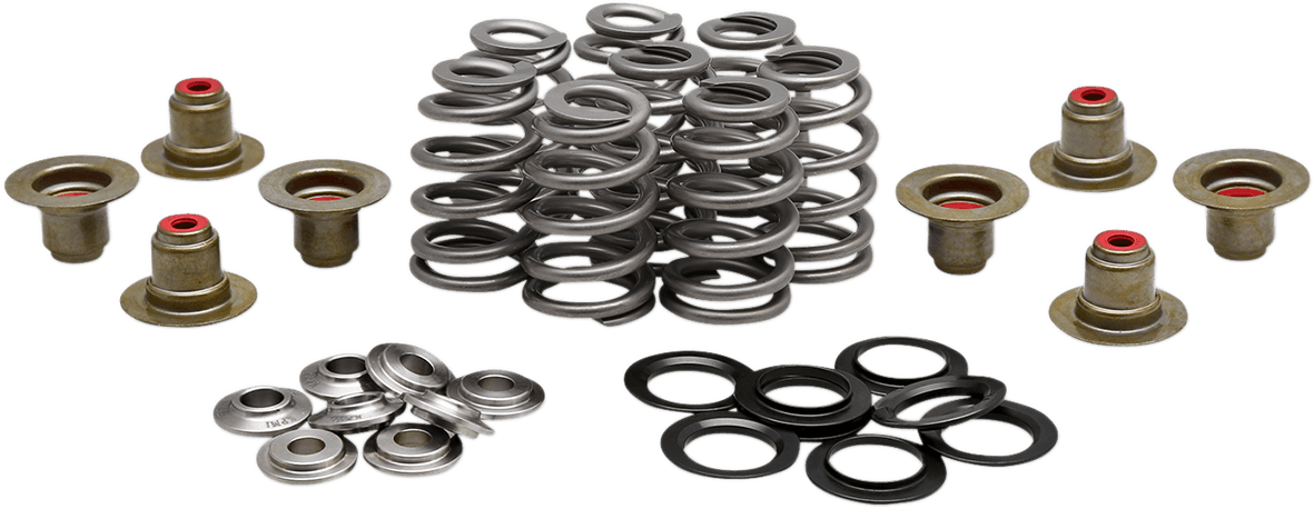 KIBBLEWHITE 0926-3276 Beehive Spring Kit - 0.625" Lift - M8 | CVO