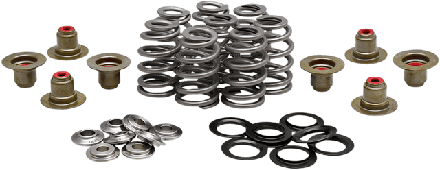 KIBBLEWHITE 0926-3276 Beehive Spring Kit - 0.625" Lift - M8 | CVO