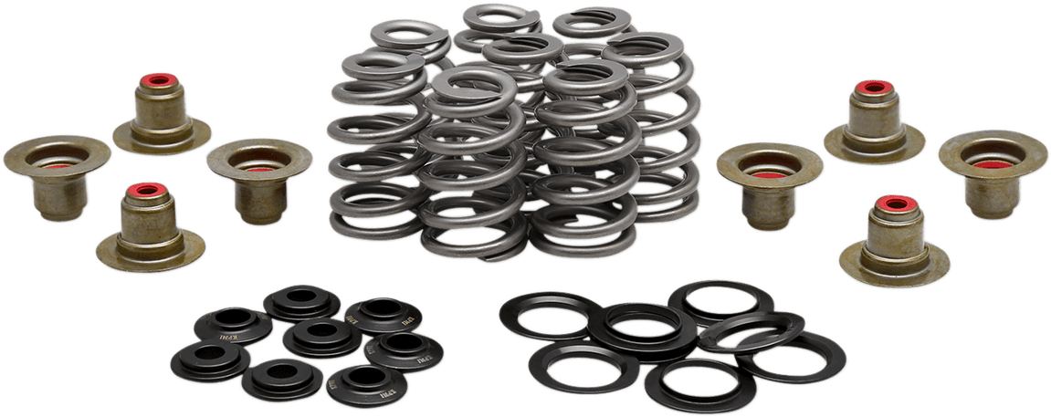 KIBBLEWHITE 0926-3277 Beehive Spring Kit - 0.625" Lift - M8 | CVO