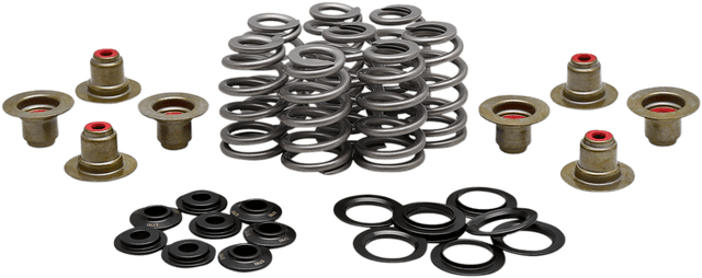 KIBBLEWHITE 0926-3277 Beehive Spring Kit - 0.625" Lift - M8 | CVO