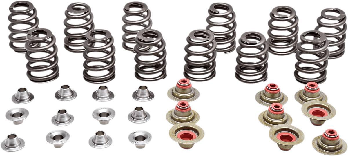 KIBBLEWHITE 0926-3317 Beehive Spring Kit - 0.350" Lift - Can Am | Rotax Ace 900 CC Triple Engines