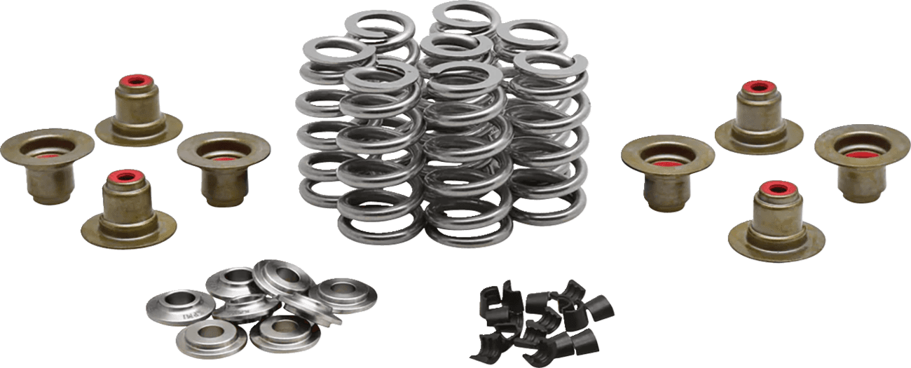 KIBBLEWHITE 0926-3457 Beehive Spring Kit - 0.640" Lift - M8 | CVO