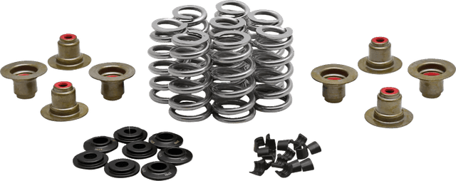 KIBBLEWHITE 0926-3458 Beehive Spring Kit - 0.640" Lift - M8 | CVO